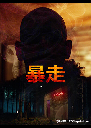 暴走（字幕）
